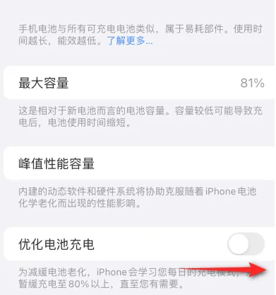 桂阳苹果15维修分享iPhone15充电到80%就充不进电了怎么办 