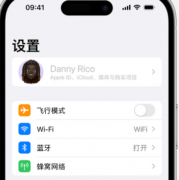 桂阳appleID维修服务iPhone设置中Apple ID显示为灰色无法使用 