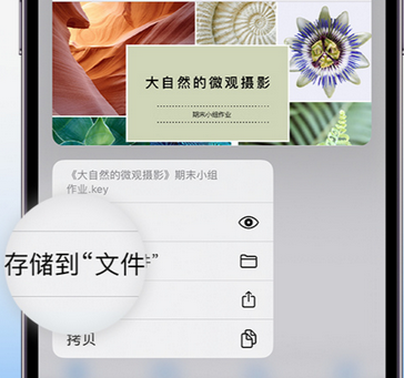 桂阳apple维修中心分享iPhone文件应用中存储和找到下载文件