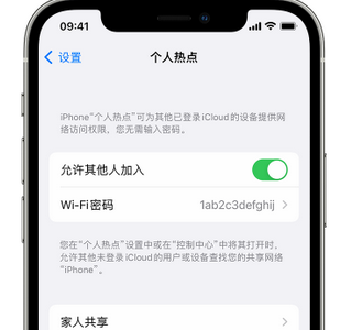 桂阳apple服务站点分享iPhone上个人热点丢失了怎么办 