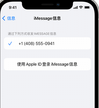 桂阳apple维修iPhone上无法正常发送iMessage信息