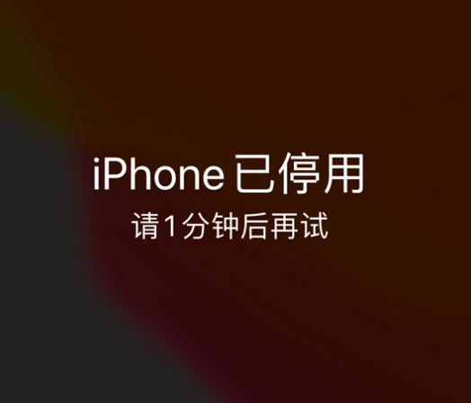 桂阳苹果手机维修分享:iPhone 显示“不可用”或“已停用”怎么办？还能保留数据吗？ 