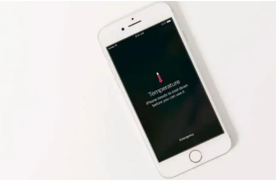 桂阳苹果手机维修分享iPhone 手机发热如何快速降温 