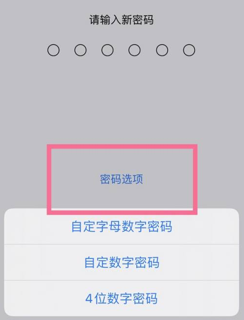 桂阳苹果14维修分享iPhone 14plus设置密码的方法 