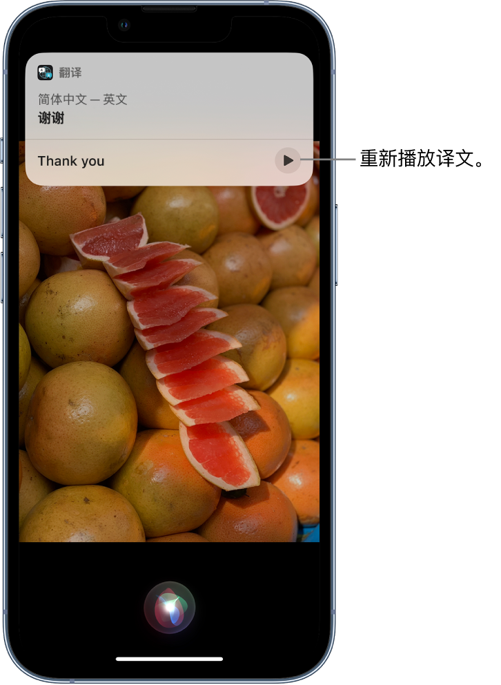 桂阳苹果14维修分享 iPhone 14 机型中使用 Siri：了解 Siri 能帮你做什么 