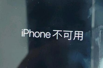 桂阳苹果服务网点分享锁屏界面显示“iPhone 不可用”如何解决 