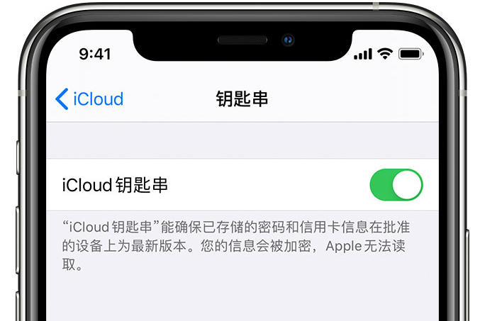 桂阳苹果手机维修分享在 iPhone 上开启 iCloud 钥匙串之后会储存哪些信息 