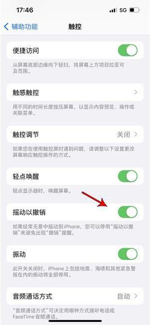 桂阳苹果手机维修分享iPhone手机如何设置摇一摇删除文字 